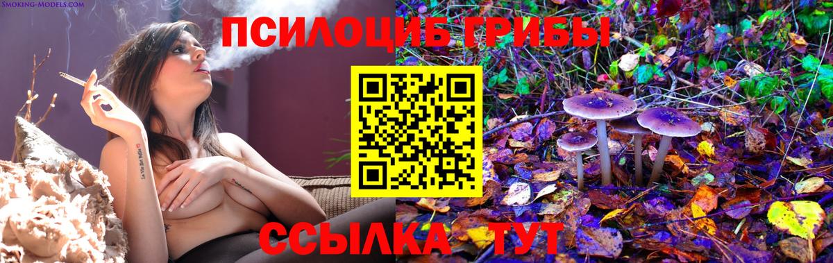 Кизляр  Псилоцибиновые грибы прущие грибы  Вход с VPN 